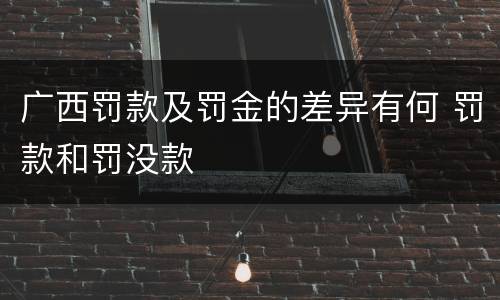 广西罚款及罚金的差异有何 罚款和罚没款