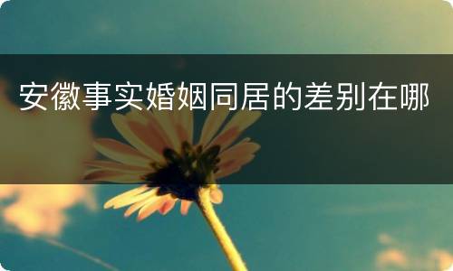 安徽事实婚姻同居的差别在哪