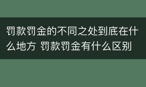 罚款罚金的不同之处到底在什么地方 罚款罚金有什么区别