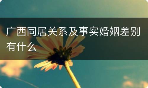 广西同居关系及事实婚姻差别有什么