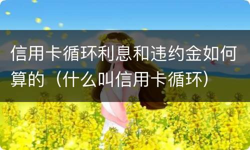 信用卡循环利息和违约金如何算的（什么叫信用卡循环）