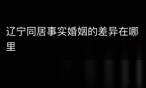 辽宁同居事实婚姻的差异在哪里