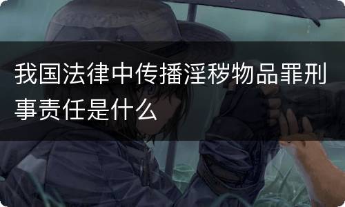 我国法律中传播淫秽物品罪刑事责任是什么