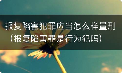 报复陷害犯罪应当怎么样量刑（报复陷害罪是行为犯吗）