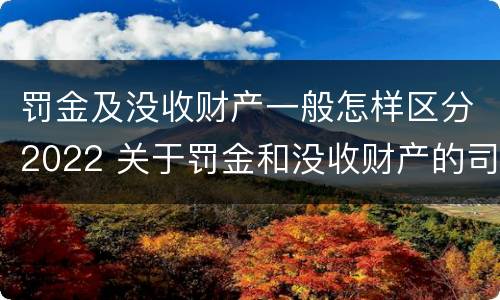 罚金及没收财产一般怎样区分2022 关于罚金和没收财产的司法解释