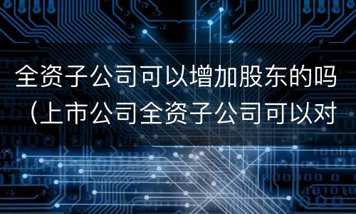 全资子公司可以增加股东的吗（上市公司全资子公司可以对其子公司增资吗）