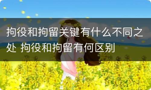 拘役和拘留关键有什么不同之处 拘役和拘留有何区别