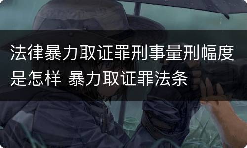 法律暴力取证罪刑事量刑幅度是怎样 暴力取证罪法条