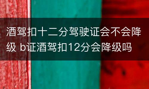 酒驾扣十二分驾驶证会不会降级 b证酒驾扣12分会降级吗