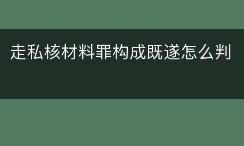 走私核材料罪构成既遂怎么判