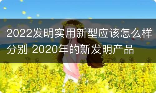 2022发明实用新型应该怎么样分别 2020年的新发明产品