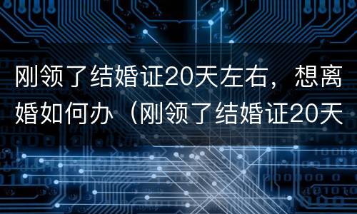 刚领了结婚证20天左右，想离婚如何办（刚领了结婚证20天左右,想离婚如何办手续）