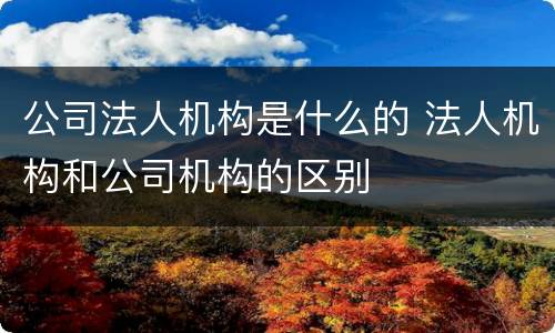 公司法人机构是什么的 法人机构和公司机构的区别