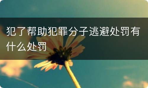 犯了帮助犯罪分子逃避处罚有什么处罚