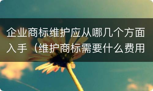 企业商标维护应从哪几个方面入手（维护商标需要什么费用）