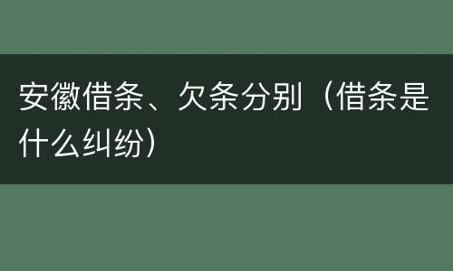 安徽借条、欠条分别（借条是什么纠纷）
