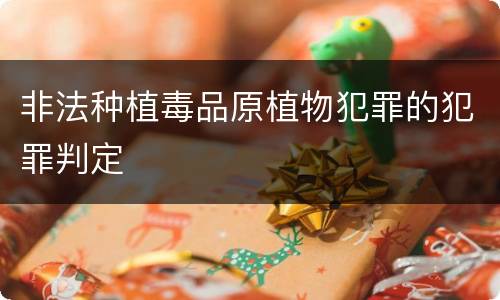 非法种植毒品原植物犯罪的犯罪判定