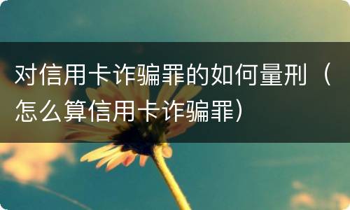对信用卡诈骗罪的如何量刑（怎么算信用卡诈骗罪）