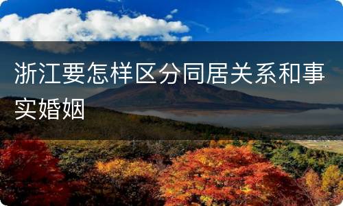 浙江要怎样区分同居关系和事实婚姻