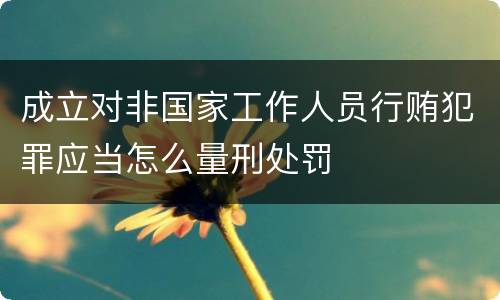 成立对非国家工作人员行贿犯罪应当怎么量刑处罚