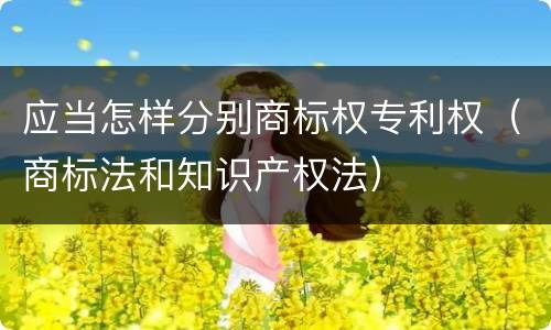 应当怎样分别商标权专利权（商标法和知识产权法）
