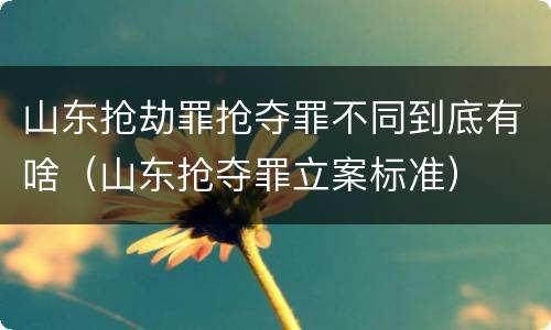 山东抢劫罪抢夺罪不同到底有啥（山东抢夺罪立案标准）