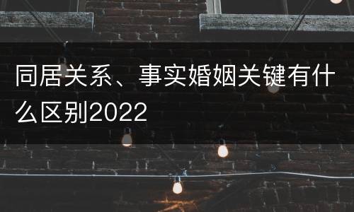 同居关系、事实婚姻关键有什么区别2022
