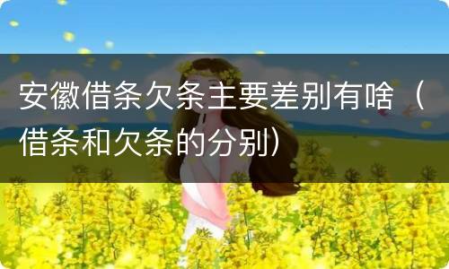 安徽借条欠条主要差别有啥（借条和欠条的分别）