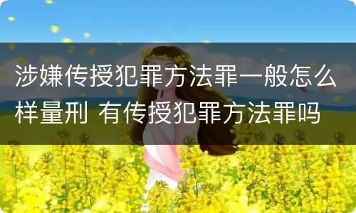 涉嫌传授犯罪方法罪一般怎么样量刑 有传授犯罪方法罪吗