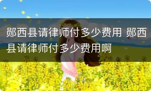 郧西县请律师付多少费用 郧西县请律师付多少费用啊