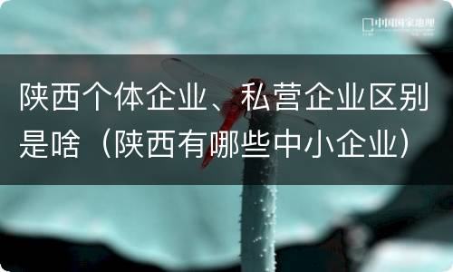 陕西个体企业、私营企业区别是啥（陕西有哪些中小企业）