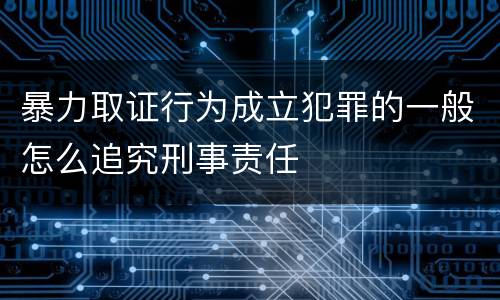 暴力取证行为成立犯罪的一般怎么追究刑事责任