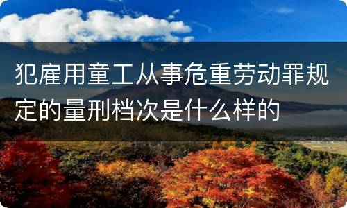 犯雇用童工从事危重劳动罪规定的量刑档次是什么样的