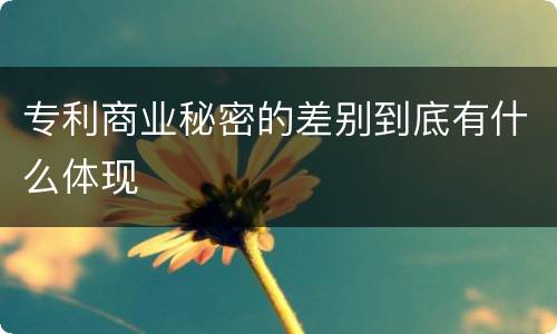 专利商业秘密的差别到底有什么体现