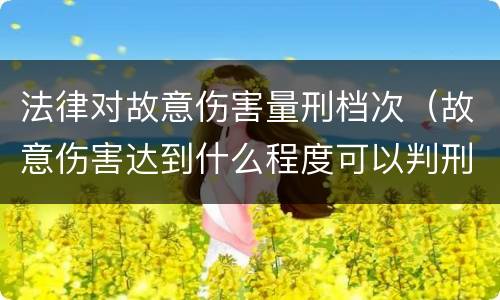 法律对故意伤害量刑档次（故意伤害达到什么程度可以判刑）