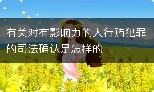 有关对有影响力的人行贿犯罪的司法确认是怎样的