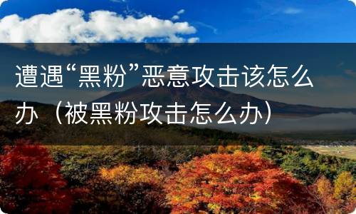 遭遇“黑粉”恶意攻击该怎么办（被黑粉攻击怎么办）