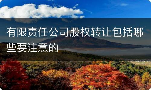 有限责任公司股权转让包括哪些要注意的