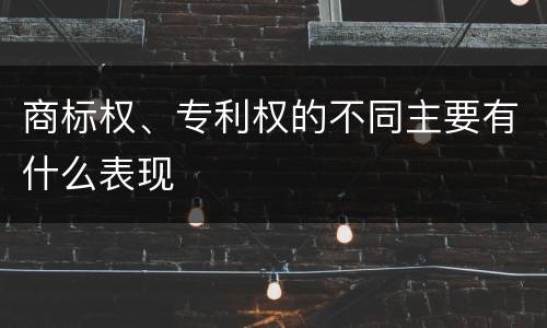 商标权、专利权的不同主要有什么表现