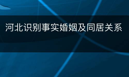 河北识别事实婚姻及同居关系
