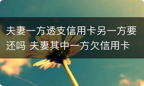 夫妻一方透支信用卡另一方要还吗 夫妻其中一方欠信用卡