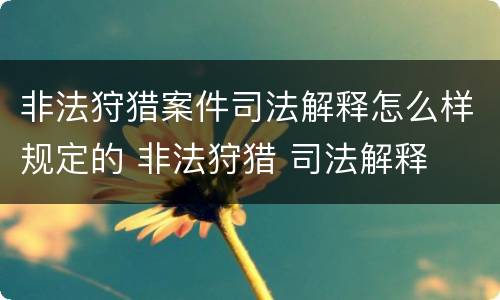 非法狩猎案件司法解释怎么样规定的 非法狩猎 司法解释