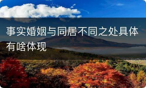 事实婚姻与同居不同之处具体有啥体现