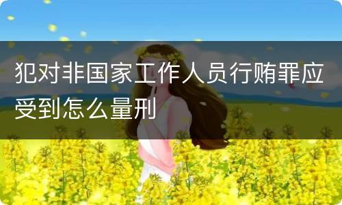 犯对非国家工作人员行贿罪应受到怎么量刑