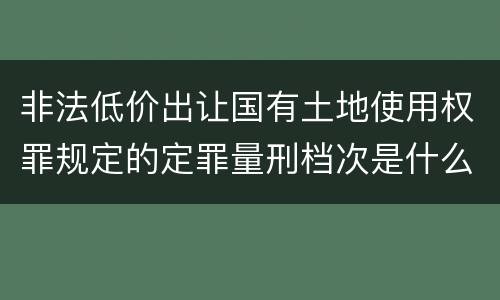 非法低价出让国有土地使用权罪规定的定罪量刑档次是什么