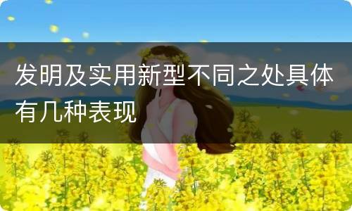 发明及实用新型不同之处具体有几种表现