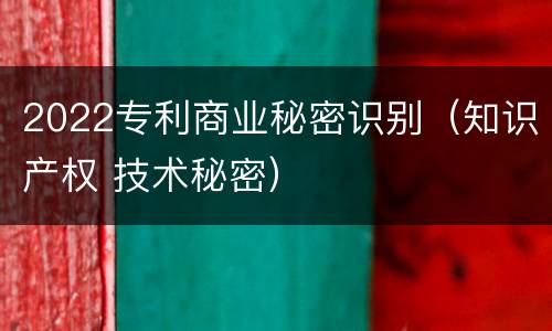 2022专利商业秘密识别（知识产权 技术秘密）