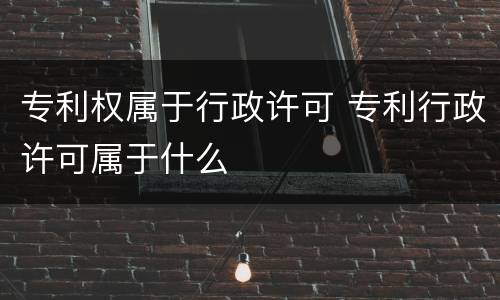 专利权属于行政许可 专利行政许可属于什么