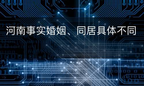 河南事实婚姻、同居具体不同