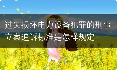 过失损坏电力设备犯罪的刑事立案追诉标准是怎样规定
